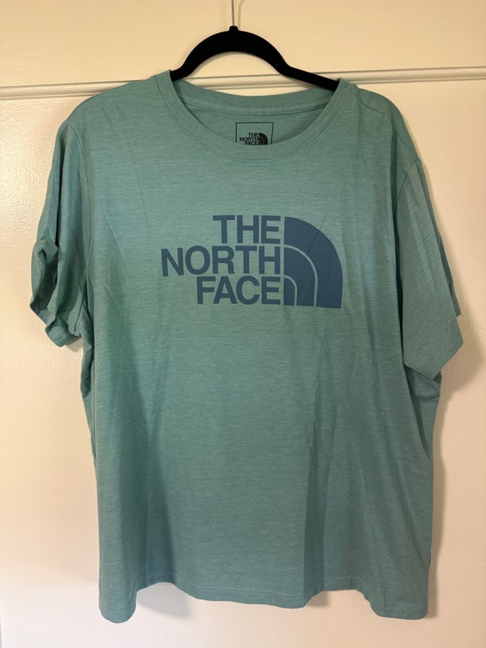 The North Face Seafoam Green Logo Tee